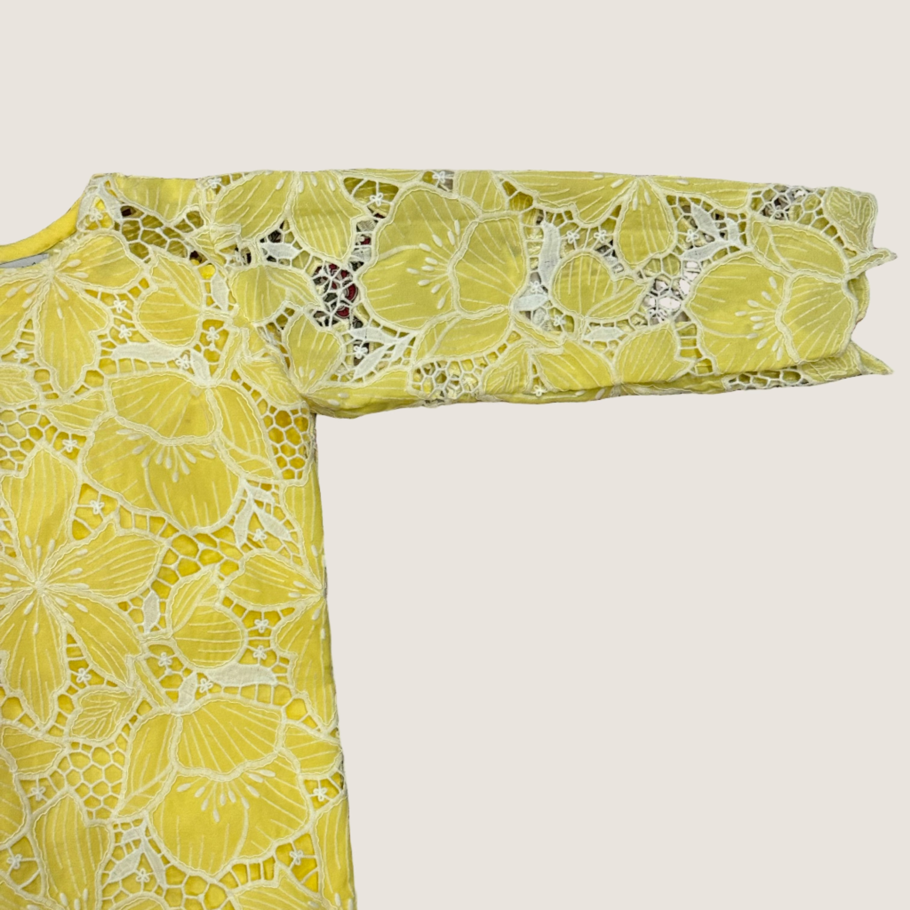 Two piece embroidered cutwork suit