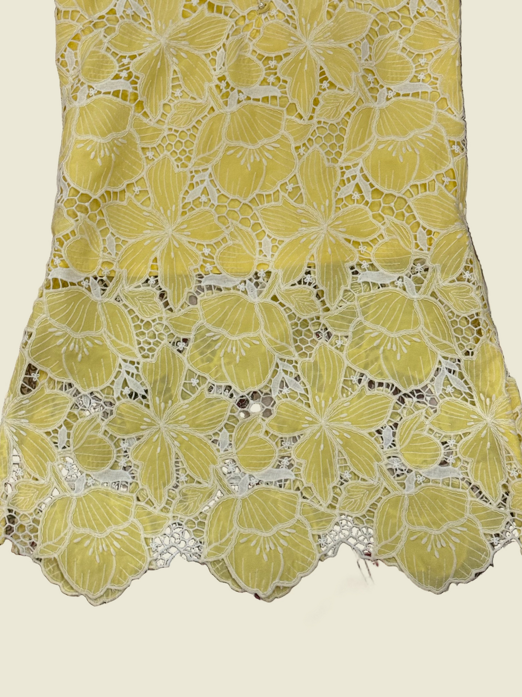 Two piece embroidered cutwork suit