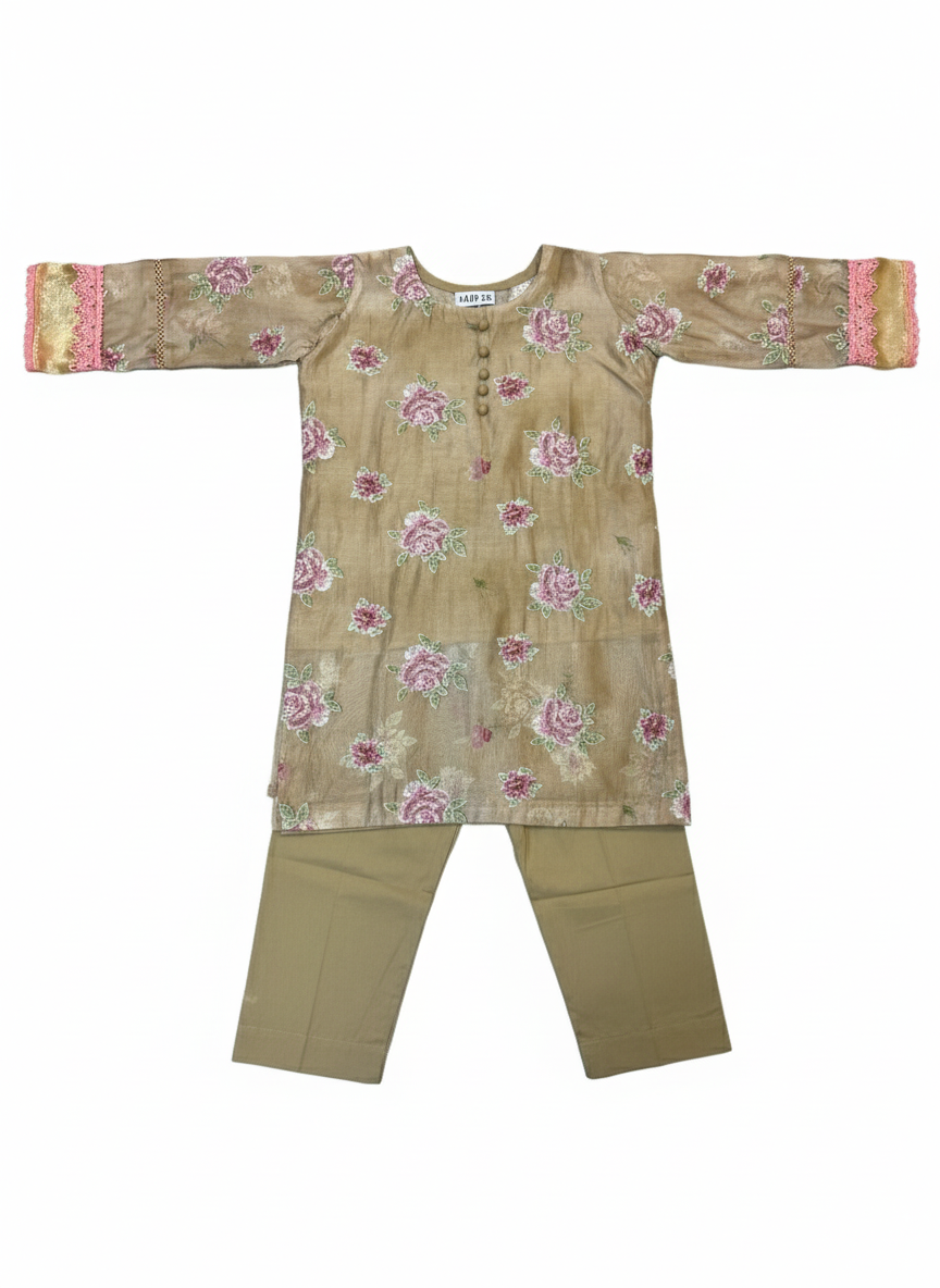 Two piece paper cotton embroidered suit