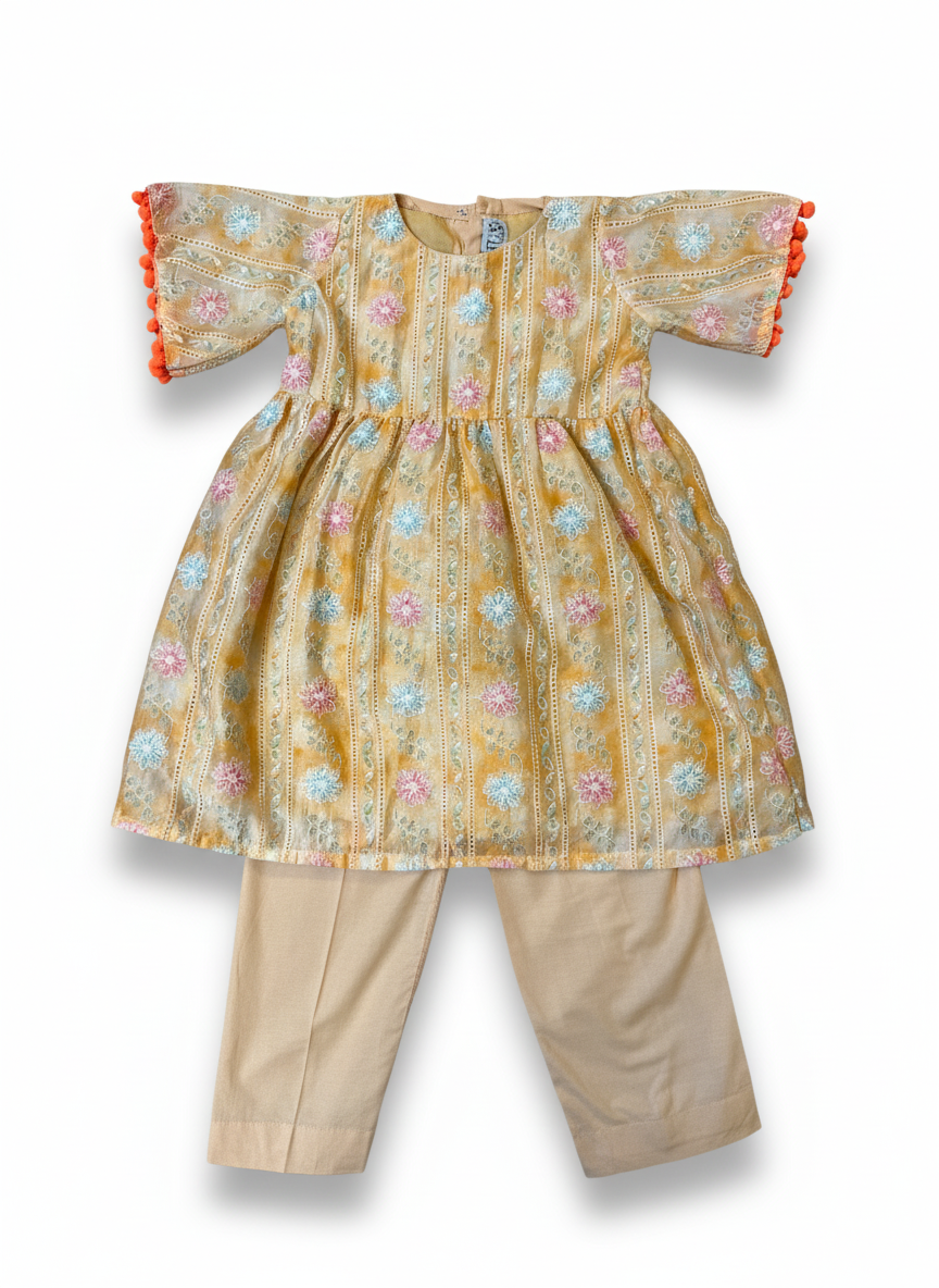 Two piece paper cotton embroidered suit