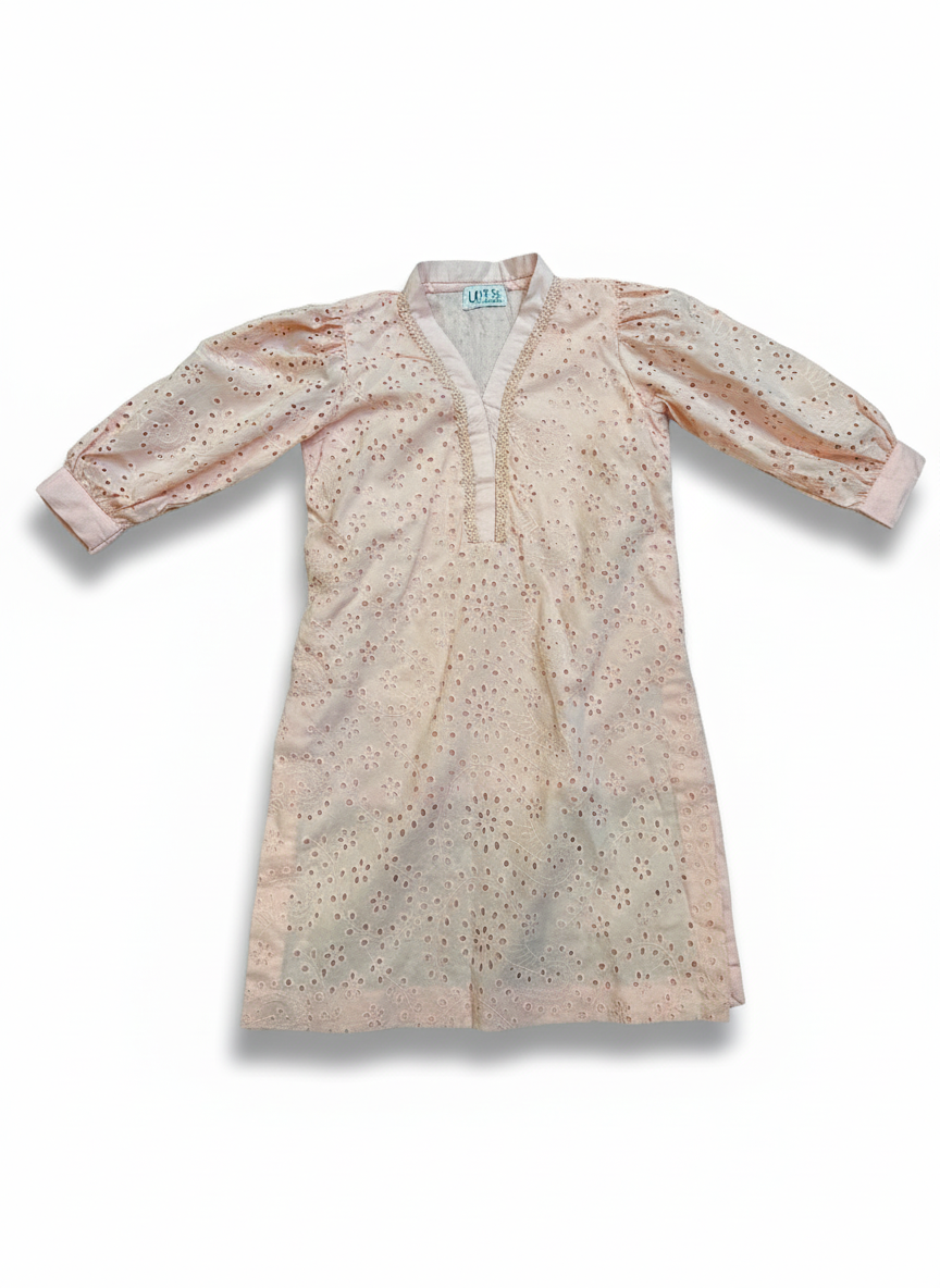 Two piece embroidered chicken kari suit