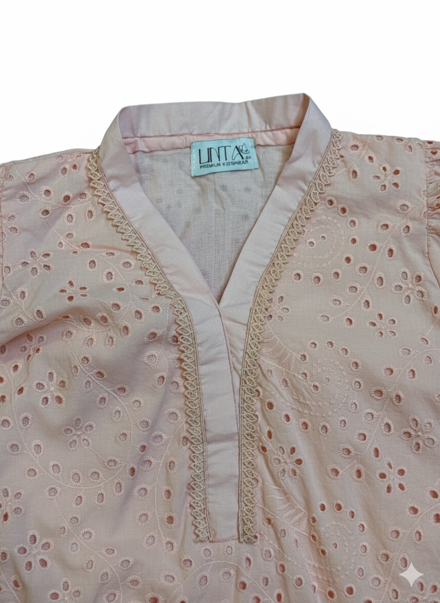 Two piece embroidered chicken kari suit