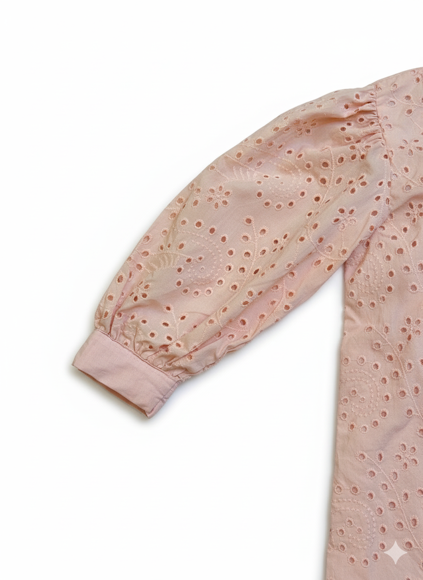 Two piece embroidered chicken kari suit